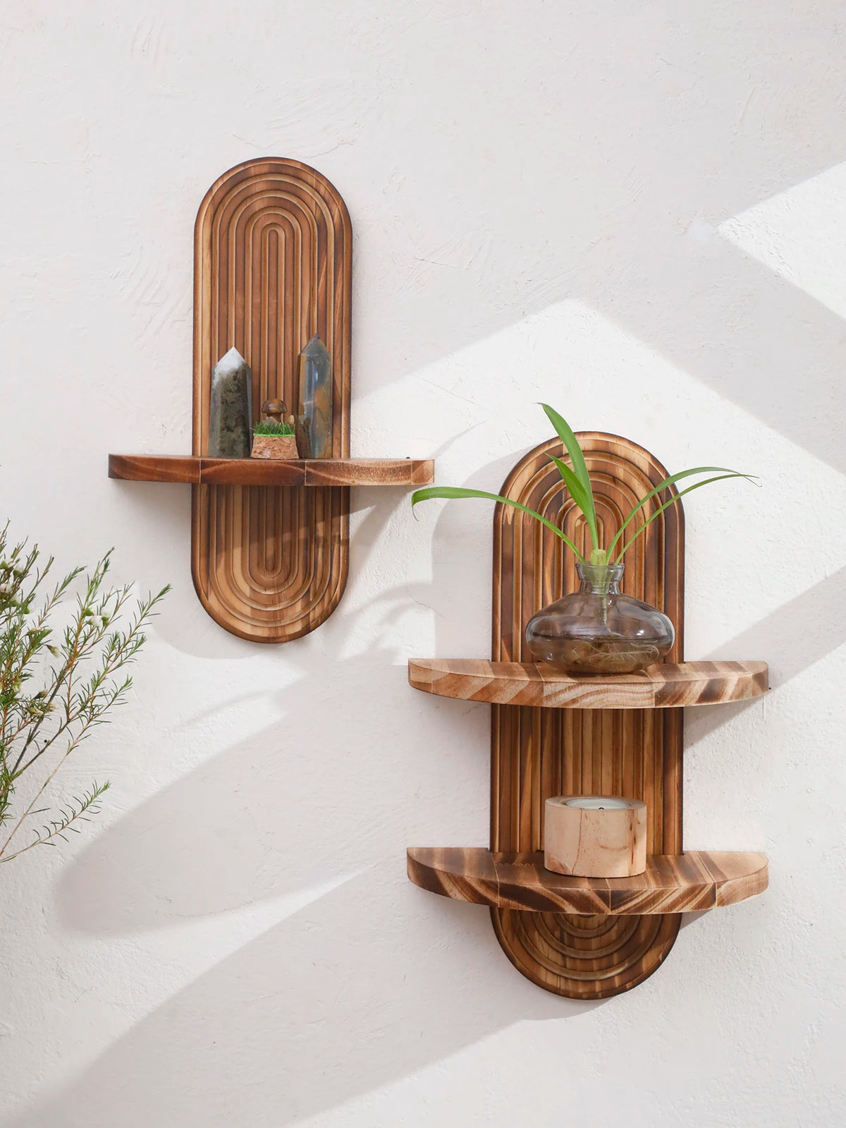 Two wooden wall shelves display crystals and a small plant on a white wall.