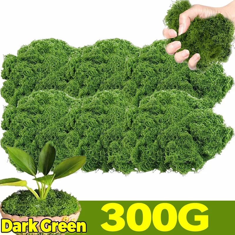 A hand holds a clump of dark green artificial moss, with a potted plant below and the text 300G.