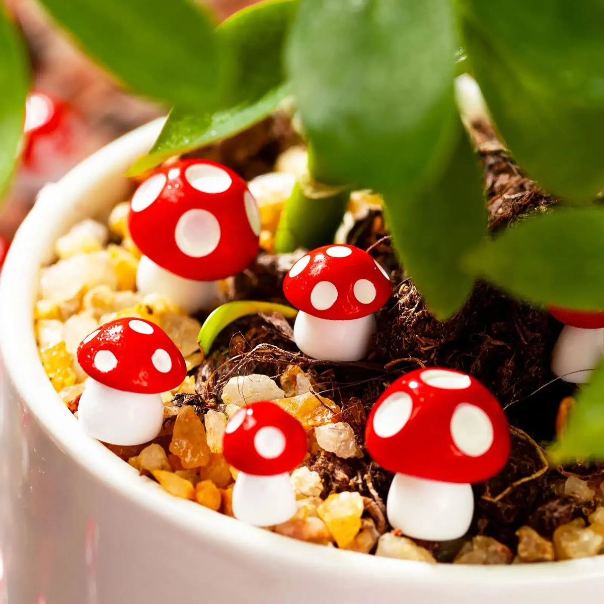A set of resin mini mushroom figurines with red caps and white spots growing in dark potting soil.