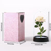 A pink box containing an eternal rose in a clear glass dome with green leaves.