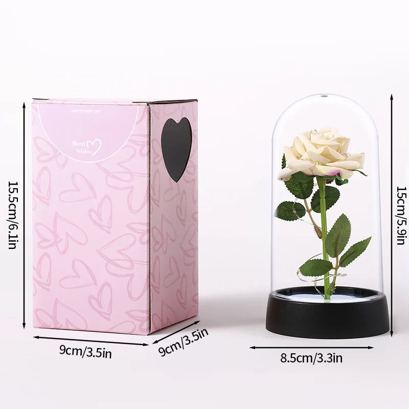 A pink box containing an eternal rose in a clear glass dome with green leaves.