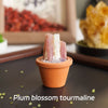 A small terracotta pot holds pink and white plum blossom tourmaline crystals on a dark surface.