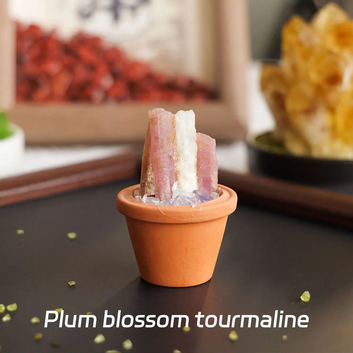 A small terracotta pot holds pink and white plum blossom tourmaline crystals on a dark surface.
