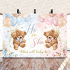 A gender reveal banner featuring pink and blue balloons and two teddy bears with the text He or She What will baby be
