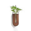 Handcrafted wooden wall-mounted hydroponic plant vase with green leaves