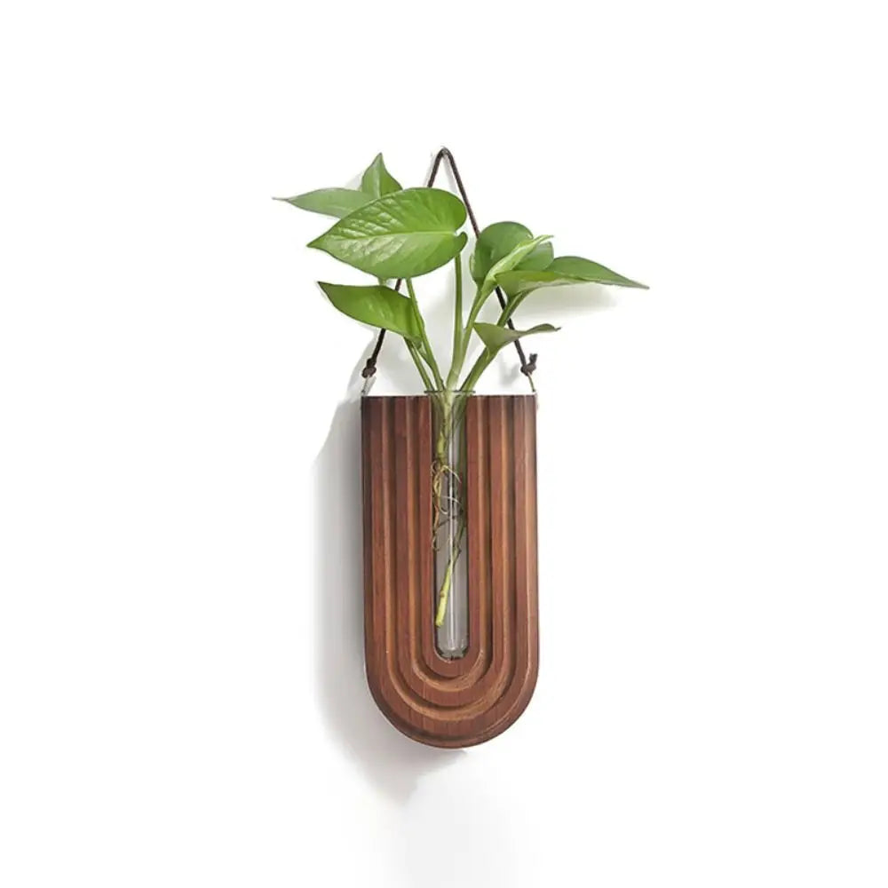 Handcrafted wooden wall-mounted hydroponic plant vase with green leaves