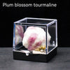 A translucent pink and white plum blossom tourmaline crystal specimen displayed in a clear box.