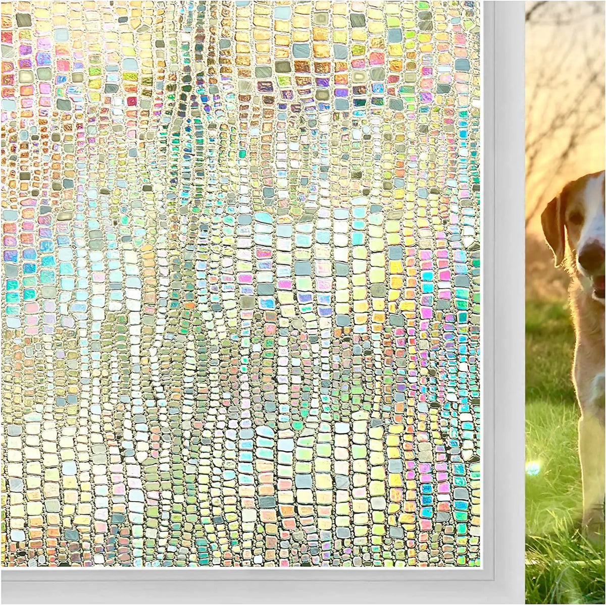 Close-up of a textured frosted window privacy film with iridescent colors and a dog's head visible in the background.