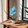 A realistic artificial blue orchid plant in a white pot sits on a wooden table next to a window.