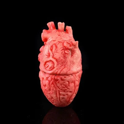 A realistic, reddish-pink prop of a human heart used for Halloween decor.