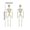 A white poseable human skeleton decoration measuring 40cm with movable bones.