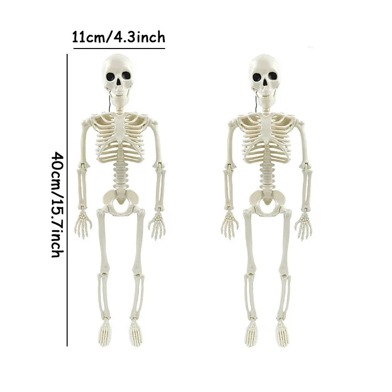 A white poseable human skeleton decoration measuring 40cm with movable bones.