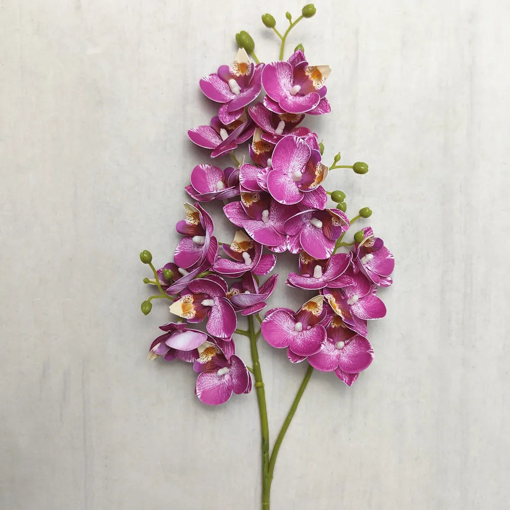A vertical stalk of a Lifelike Butterfly Orchid featuring 21 vibrant pink and purple blooms.