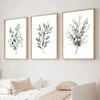 A set of three framed botanical leaf art prints featuring sage green foliage on white backgrounds.