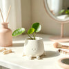 A white 3D printed smiley face succulent planter holding a green plant on a light surface.