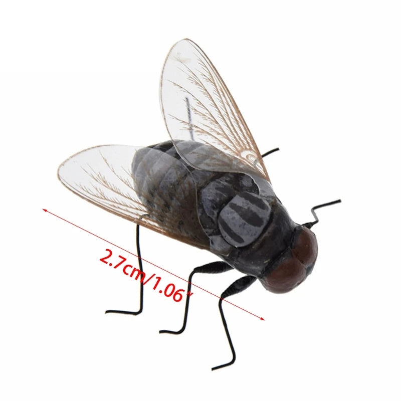 A dark insect specimen with translucent wings and legs is shown against a white background.