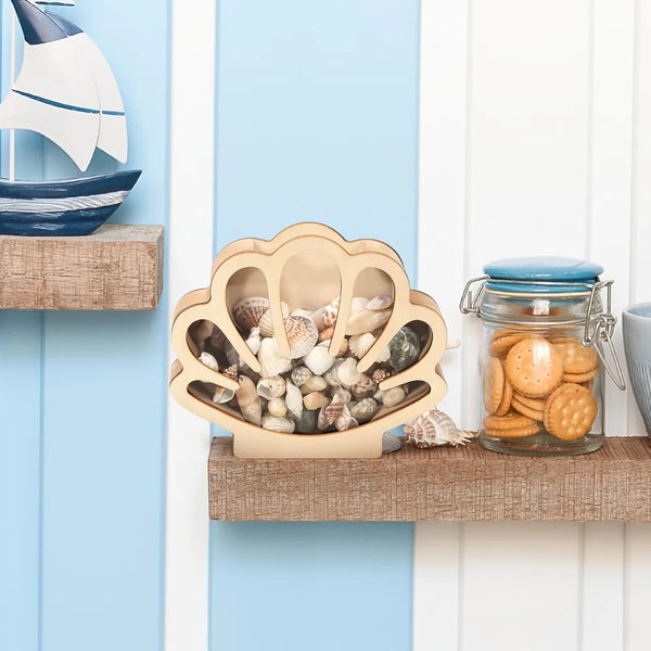 A wooden seashell display box with an acrylic window filled with small shells and cookies on a light blue shelf.