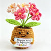 Handmade Crochet Tulip & Sunflower Potted Plant Set