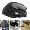 Black leather bat cat Halloween mask shown on a cat.