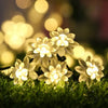 White solar decorative string lights clustered on green grass with blurred warm bokeh background