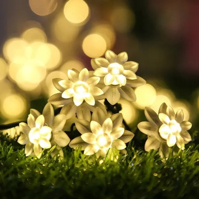 White solar decorative string lights clustered on green grass with blurred warm bokeh background
