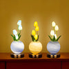 Three glass vases hold white and yellow tulips, illuminated by a warm light against a golden background.
