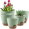 A set of five light green self-watering flower pots containing tulips and a succulent plant.