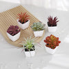 A set of mini artificial succulent decorations in various shades of green and red potted in white cups on a wooden tray.