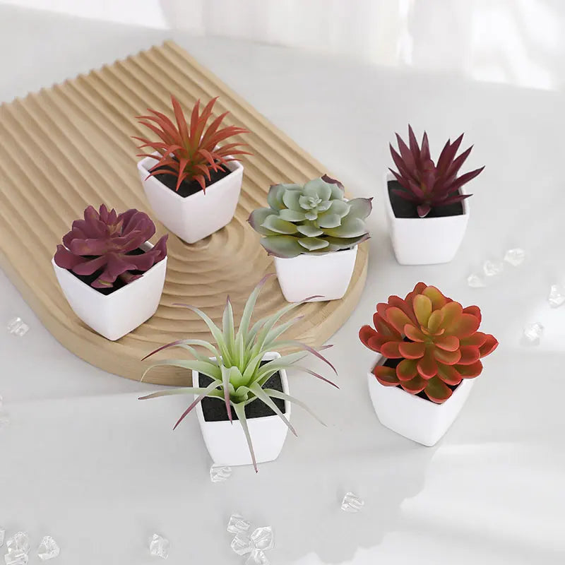 A set of mini artificial succulent decorations in various shades of green and red potted in white cups on a wooden tray.