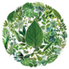 Green Leaf PET Stickers for Scrapbooking and Journaling (50 Pack)