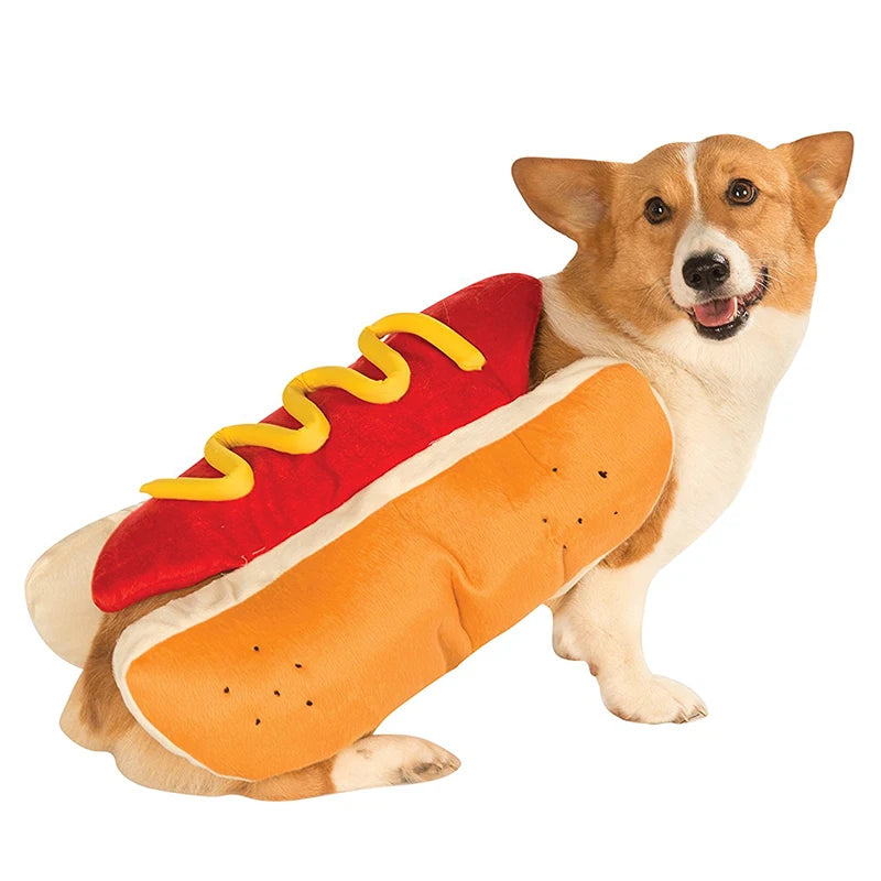 A dog dressed in a classic hot dog costume featuring bread, toppings, and a bun.