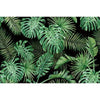 A dark green tropical jungle leaf pattern backdrop for photography and parties.