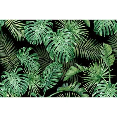 A dark green tropical jungle leaf pattern backdrop for photography and parties.