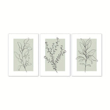 A set of three neutral floral wall art prints featuring botanical line drawings on light green canvases.