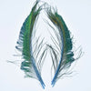 A pair of natural peacock feathers with iridescent green and blue barbs displayed against a white background.
