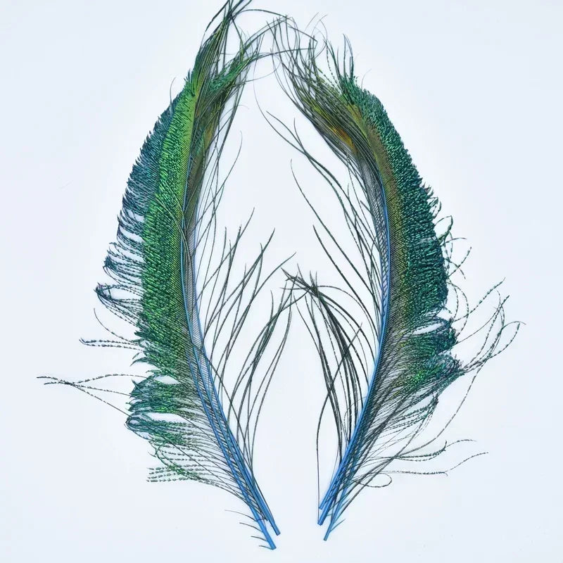 A pair of natural peacock feathers with iridescent green and blue barbs displayed against a white background.