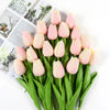 A bouquet of pink tulips with green stems and leaves, displayed against a white background.