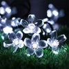 Clear glass flower lights illuminate green moss in the dark