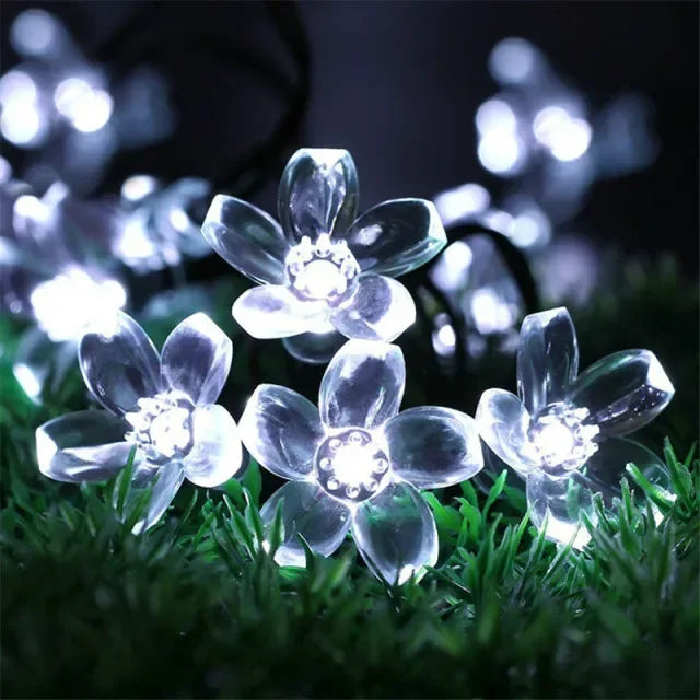 Clear glass flower lights illuminate green moss in the dark