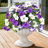A bouquet of artificial petunia flowers in white and purple are displayed in a white pedestal vase on a wooden deck.