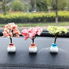 Three small potted trees with pink and white flowers displayed on a black car dashboard.