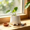 A white 3D printed smiley face succulent planter holding a green plant on a wooden windowsill.