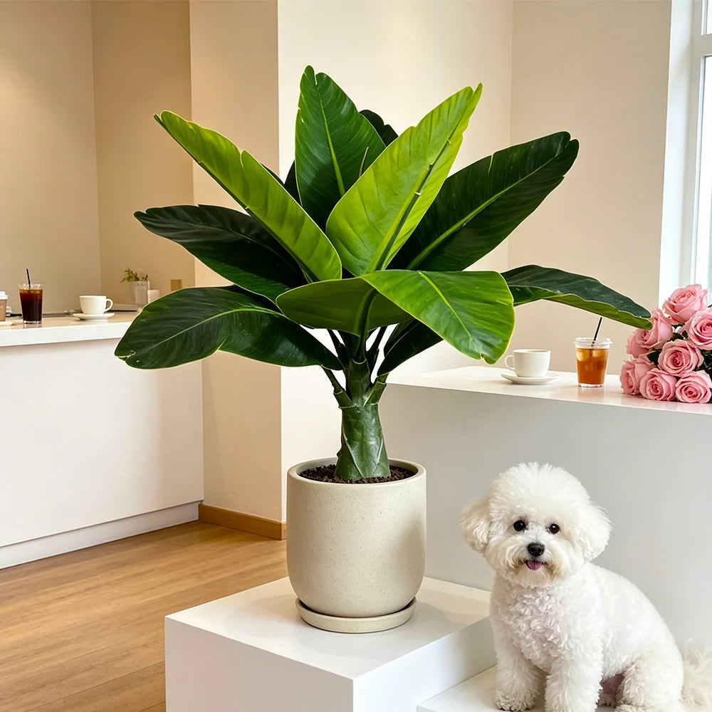 Un gran árbol de plátano artificial en una maceta de cerámica sobre un estante blanco junto a un perro blanco pequeño.