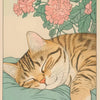 A sleepy orange tabby cat is curled up on a teal surface surrounded by pink and green floral elements.