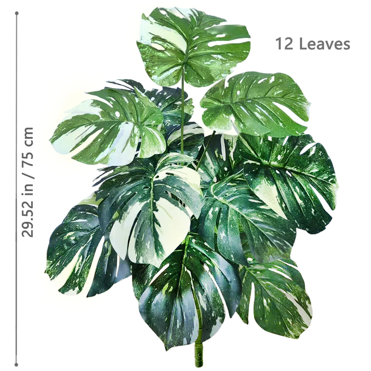 A vibrant artificial monstera plant with twelve large green and white silk leaves.