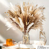 Bouquet de queues de lapin de pampas séchées dans un vase en verre sur fond clair