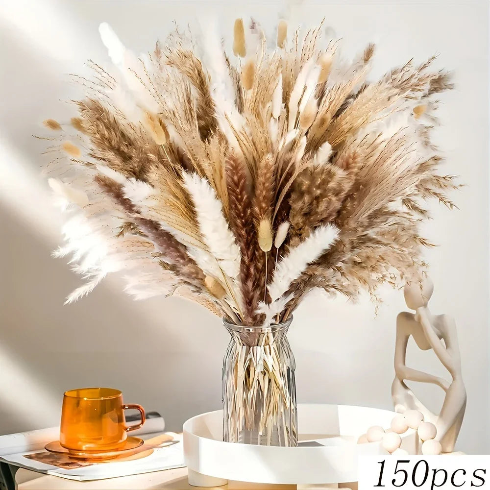 Bouquet de queues de lapin de pampas séchées dans un vase en verre sur fond clair