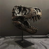 A realistic dinosaur skull resin sculpture displayed on a stand against a dark gray background.