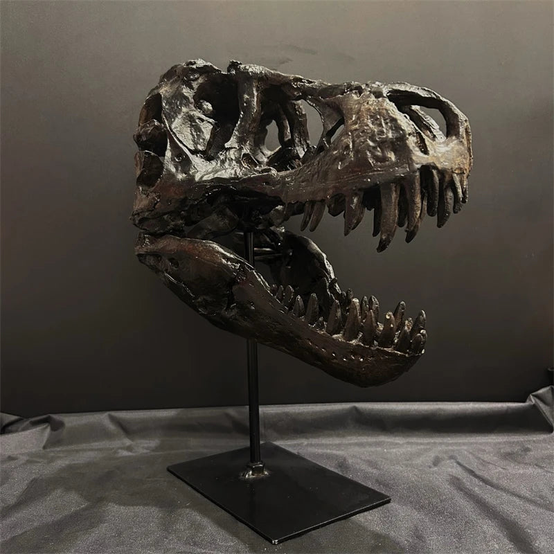 A realistic dinosaur skull resin sculpture displayed on a stand against a dark gray background.