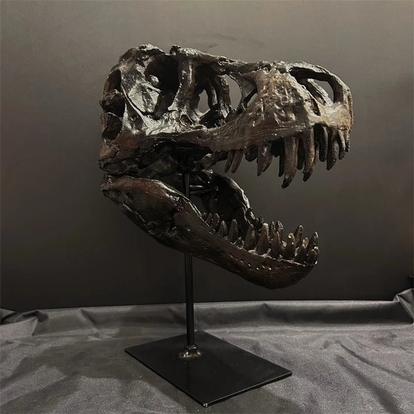 A realistic dinosaur skull resin sculpture displayed on a stand against a dark gray background.